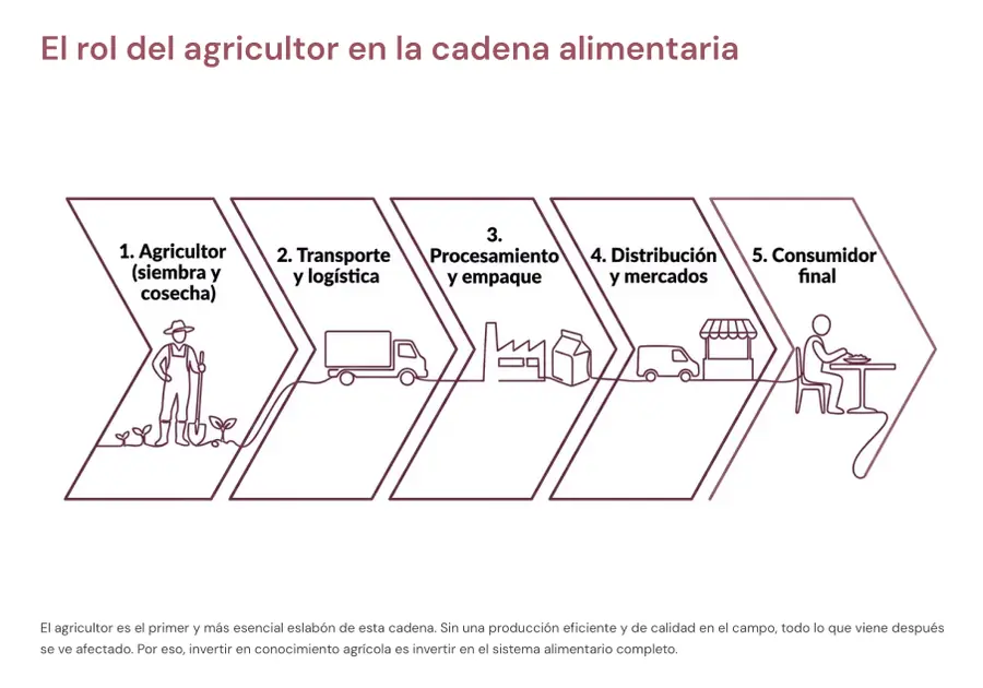 Página interna sobre rotación de cultivos por estación